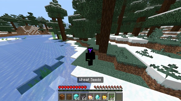 minecraft 1 21 81 apk